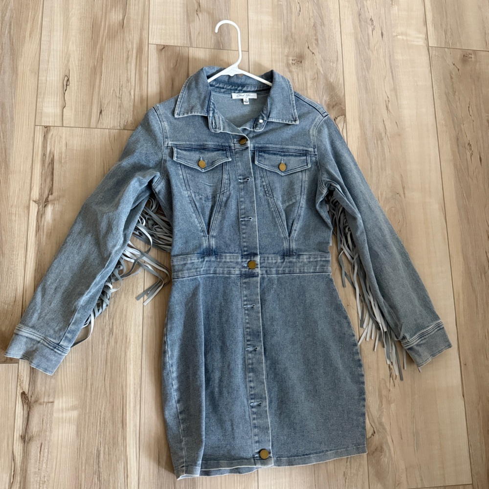 Denim Long Sleeve Dress with Fringe
